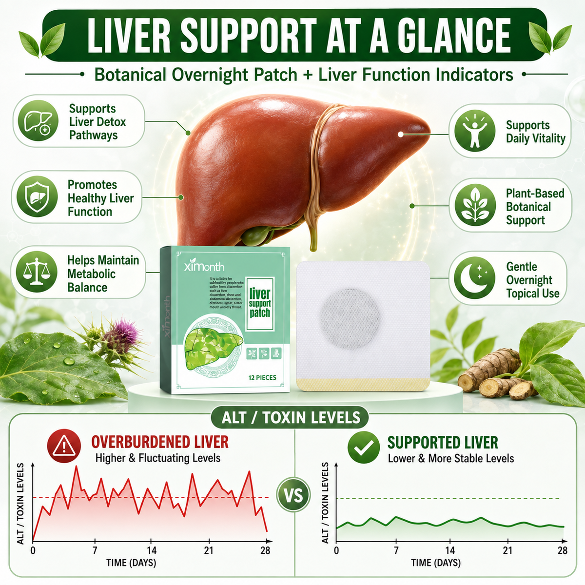 Liver Support Patch – Wake Up Refreshed with Easy Plant-Based Daily Wellness Support-JX