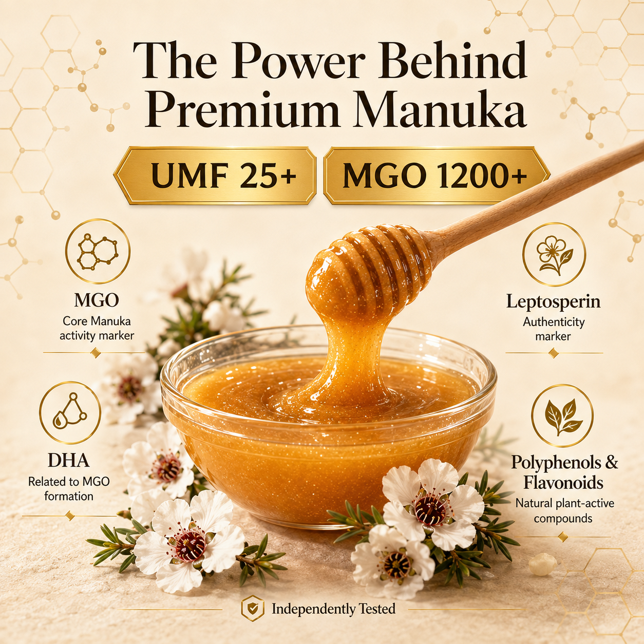 Premium New Zealand Manuka Honey UMF 25+ | MGO 1200+ – Rare, Rich & Naturally Active-JX